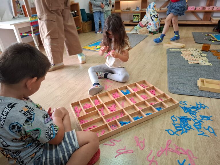 WhatsApp Image 2025-11-20 at 11.03.54